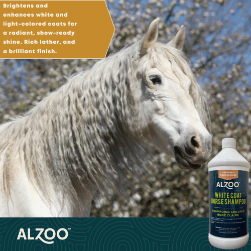 Horse Shampoo for Light Coats