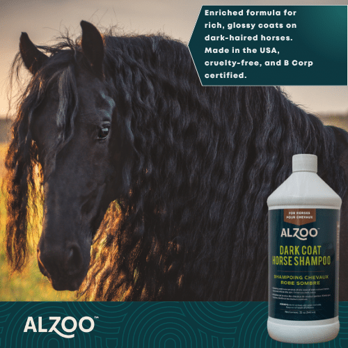 Horse Shampoo for Dark Coats