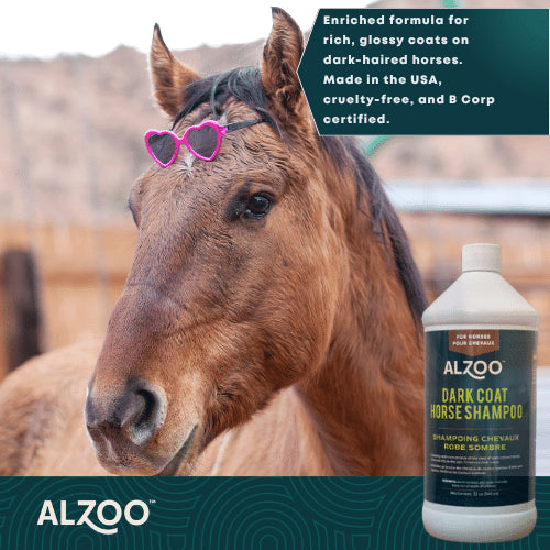 Horse Shampoo for Dark Coats