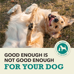 Coldwater Fish Recipe Dry Dog Food