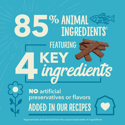 Chewy Strips, Salmon Recipe Soft & Chewy Treats