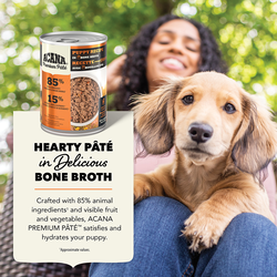 Premium Pâté, Puppy Recipe in Bone Broth Wet Dog Food