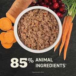 Premium Pâté, Puppy Recipe in Bone Broth Wet Dog Food
