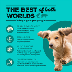 Healthy Grains, Sea to Farm Puppy Recipe Dry Dog Food