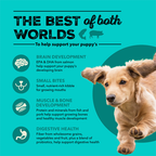 Healthy Grains, Sea to Farm Puppy Recipe Dry Dog Food