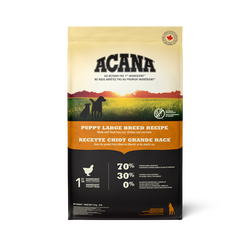 Puppy Large Breed Dry Dog Food