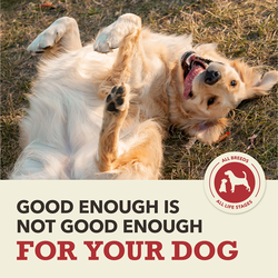 Red Meat Recipe Dry Dog Food