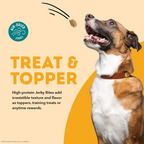 ACANA Jerky Bites Chicken Recipe Soft & Chewy Treats