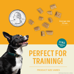 ACANA Jerky Bites Chicken Recipe Soft & Chewy Treats