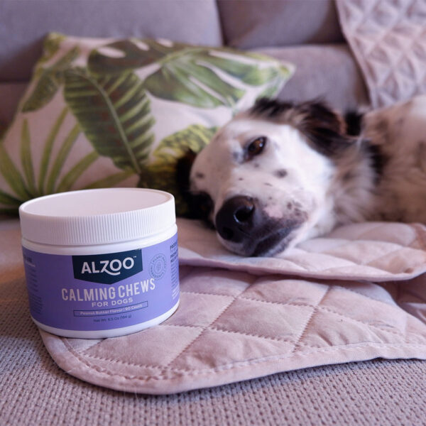 Calming Chews for Dogs