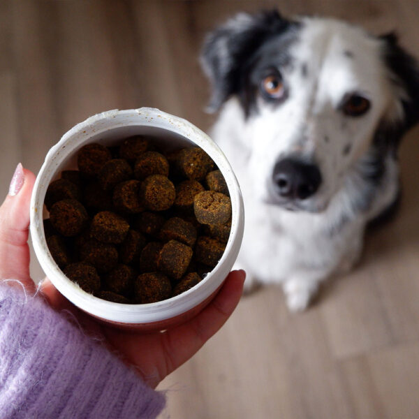 Skin & Coat Chews for Dogs