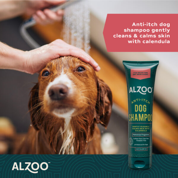 Anti-Itch Dog Shampoo