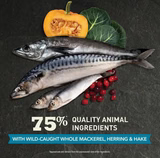 ACANA Wild Atlantic Freeze Dried Coated Grain Free Dry Cat Food