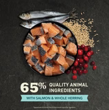 ACANA Grain Free Bountiful Catch Dry Cat Food
