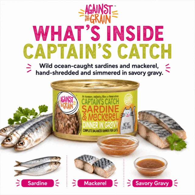 Captain’s Catch with Sardine & Mackerel