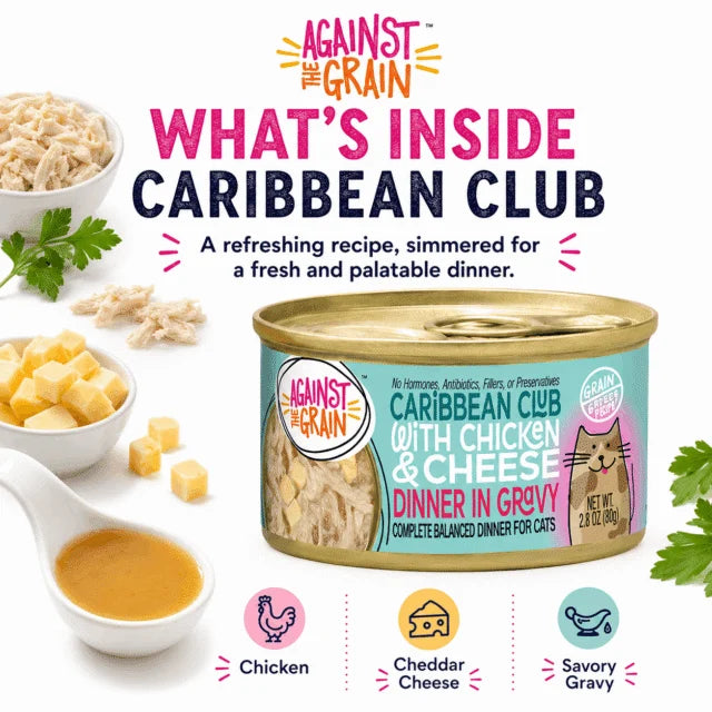Caribbean Club with Chicken & Cheese