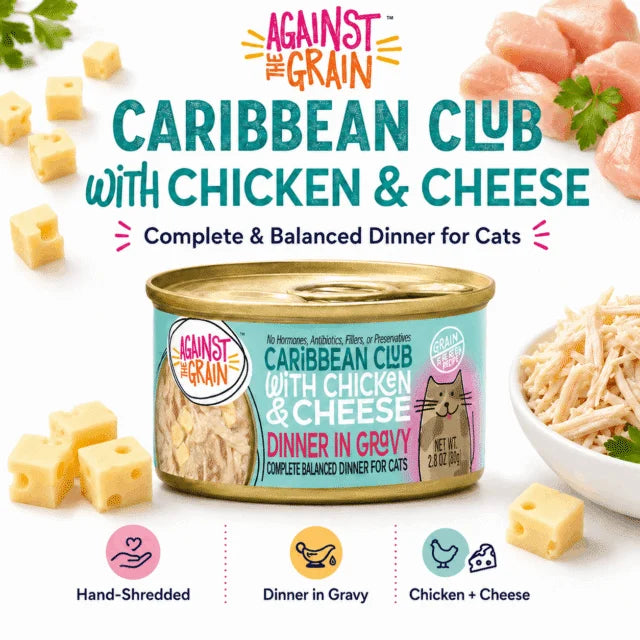 Caribbean Club with Chicken & Cheese