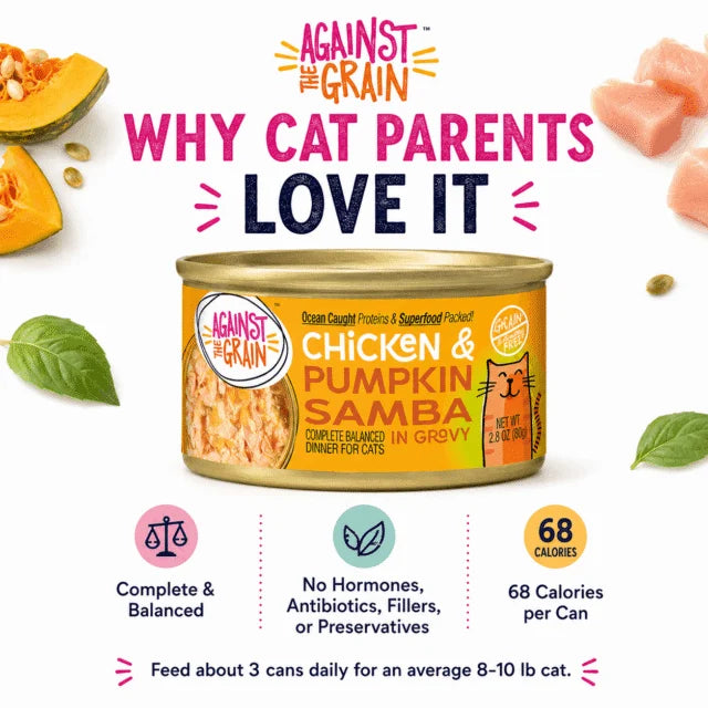 Chicken & Pumpkin Samba
