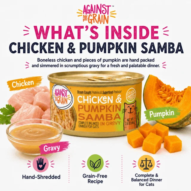 Chicken & Pumpkin Samba