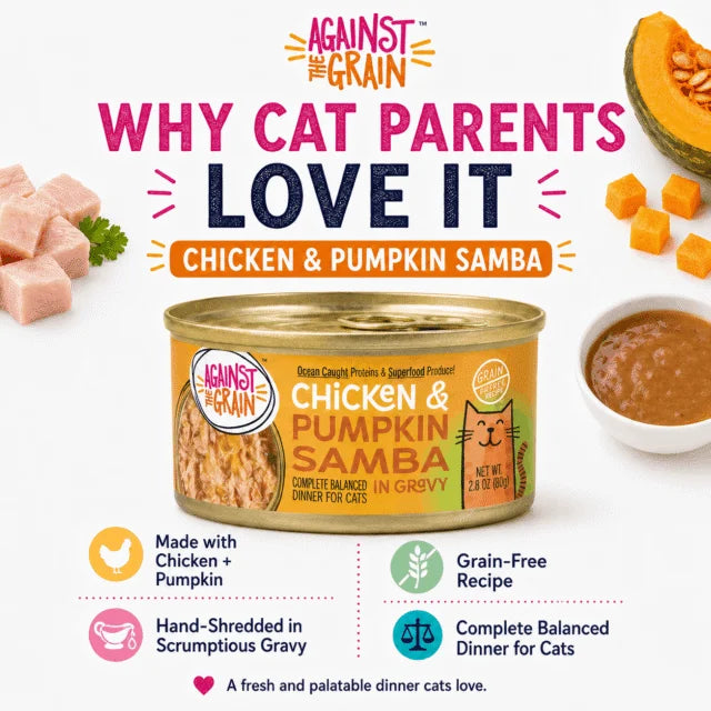 Chicken & Pumpkin Samba