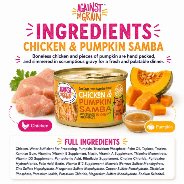Chicken & Pumpkin Samba
