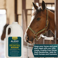 Horse Shampoo for Dark Coats