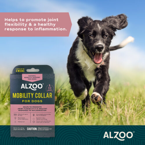 Mobility Collar for Dogs