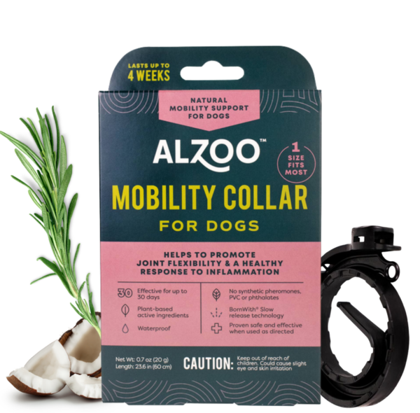 Mobility Collar for Dogs