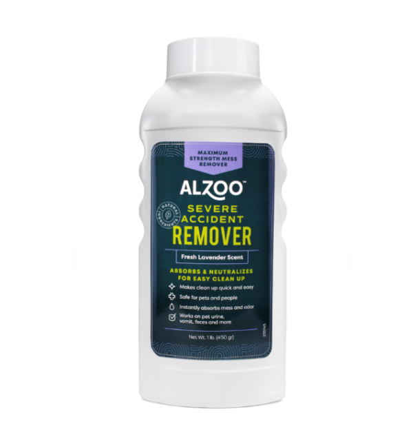 Severe Accident Remover
