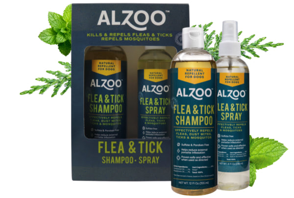 Flea & Tick: Shampoo and Spray Kit for Dogs