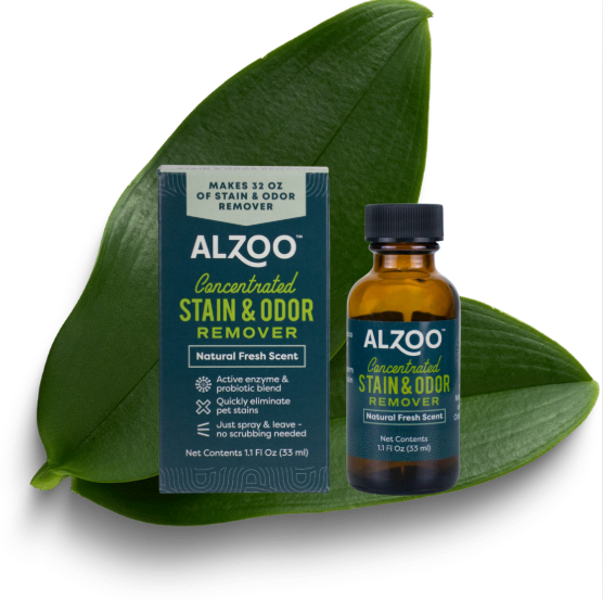 Concentrated Enzyme-Based Stain & Odor Remover Refill