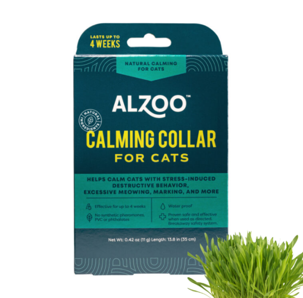 Calming Collar for Cats