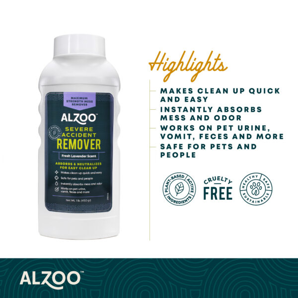 Severe Accident Remover