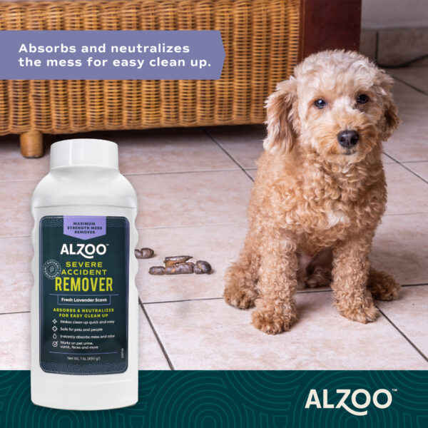 Severe Accident Remover