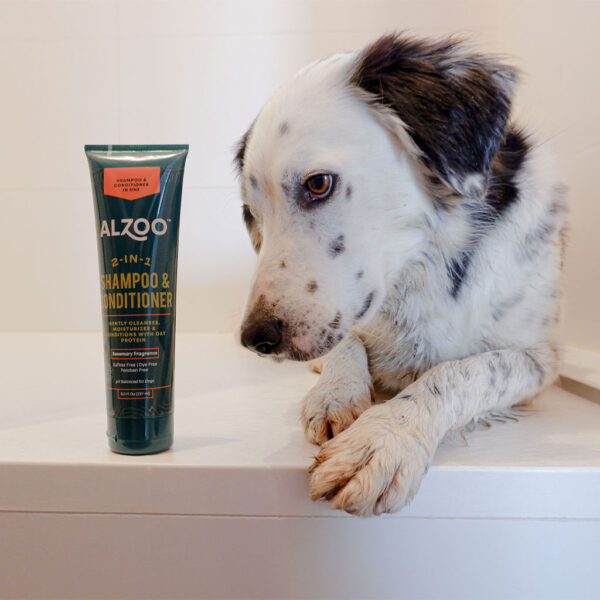 2-in-1 dog shampoo and conditioner