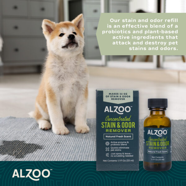 Concentrated Enzyme-Based Stain & Odor Remover Refill