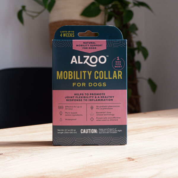 Mobility Collar for Dogs